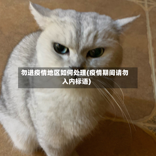 勿进疫情地区如何处理(疫情期间请勿入内标语)