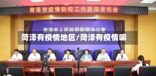菏泽有疫情地区/菏泽有疫情嘛-第2张图片