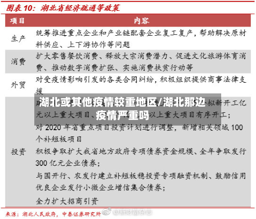湖北或其他疫情较重地区/湖北那边疫情严重吗