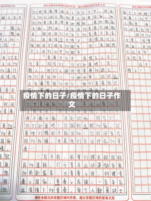 疫情下的日子/疫情下的日子作文