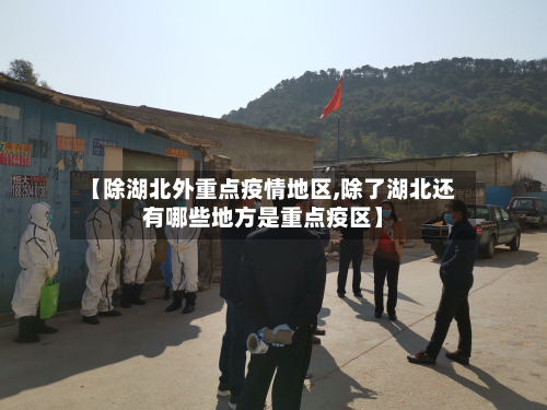 【除湖北外重点疫情地区,除了湖北还有哪些地方是重点疫区】-第2张图片