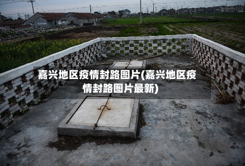 嘉兴地区疫情封路图片(嘉兴地区疫情封路图片最新)-第3张图片