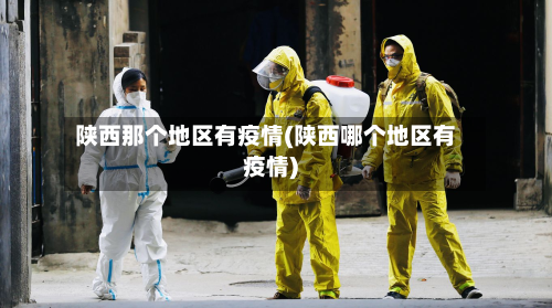 陕西那个地区有疫情(陕西哪个地区有疫情)-第3张图片