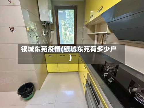 银城东苑疫情(银城东苑有多少户)