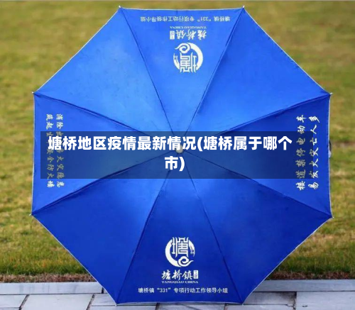 塘桥地区疫情最新情况(塘桥属于哪个市)