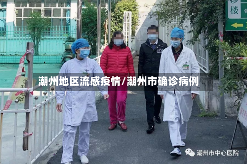 潮州地区流感疫情/潮州市确诊病例